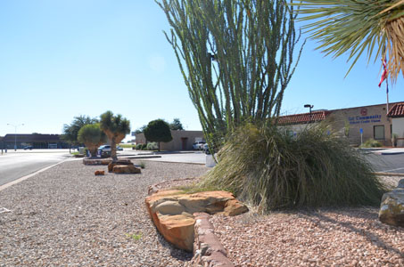 xeriscape slide