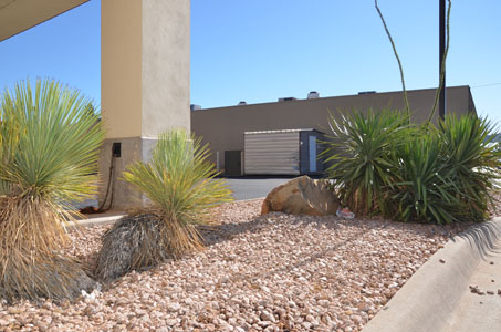 xeriscape slide