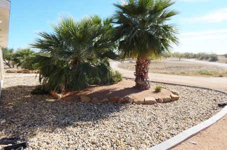 xeriscape slide