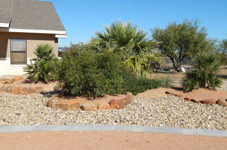 xeriscape slide