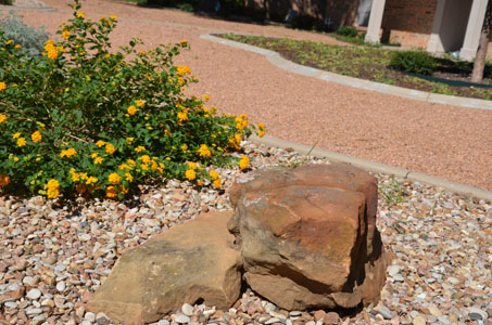 xeriscape slide